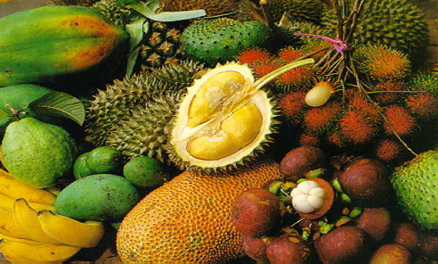 Popular Tropical Fruits of Malaysia
